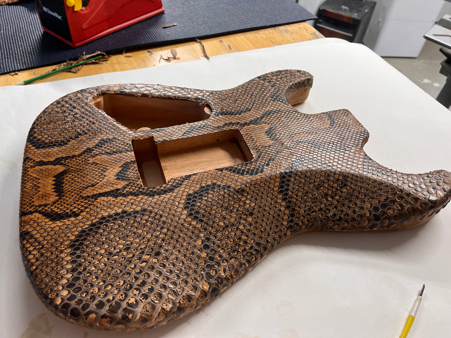 The Snakeskin Guitar