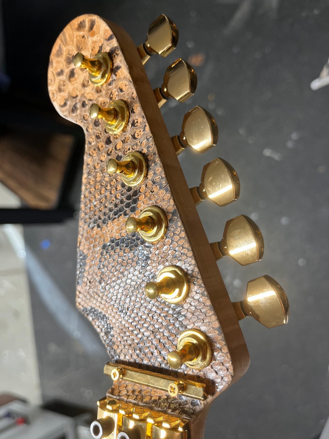 The Snakeskin Guitar