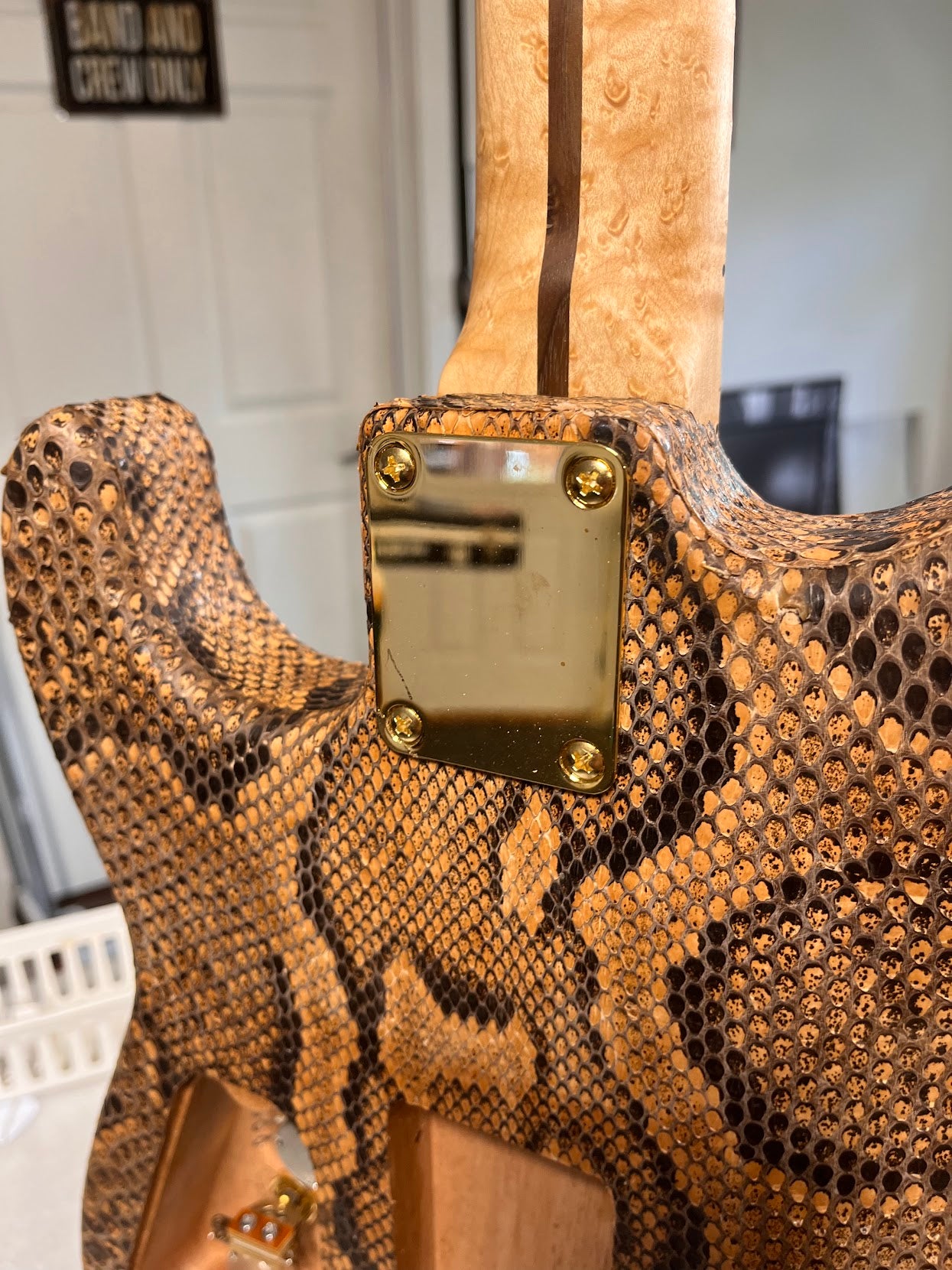 The Snakeskin Guitar