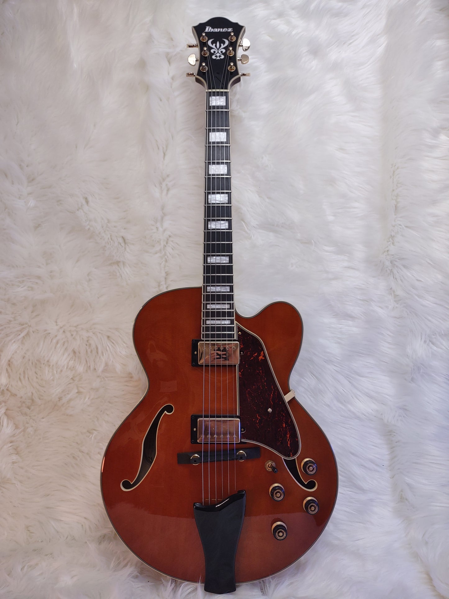 Ibanez ArtCore AF95