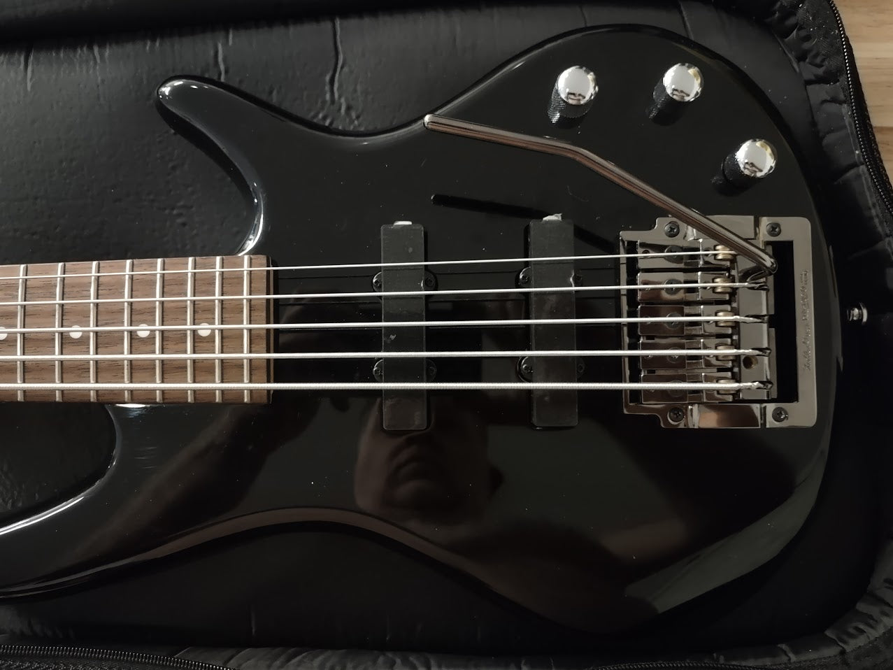 Electric Bass Setup