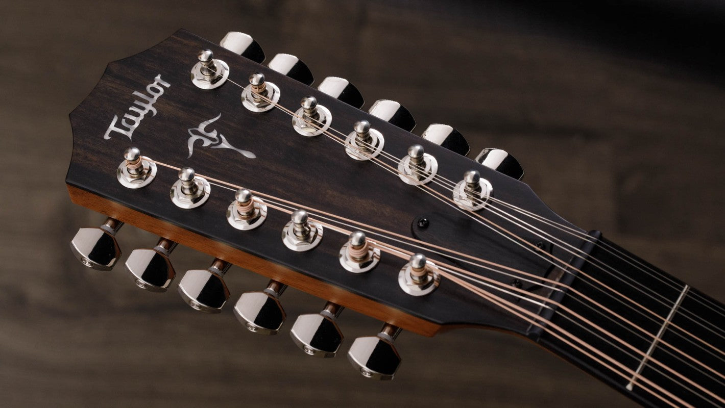 12-String Electric Guitar Setup